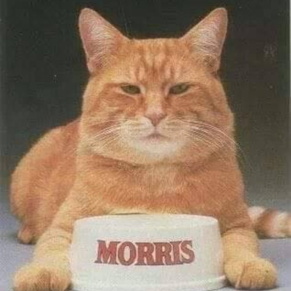 Happy New Year Folks, & Thank You For The Kind Notes XoXo